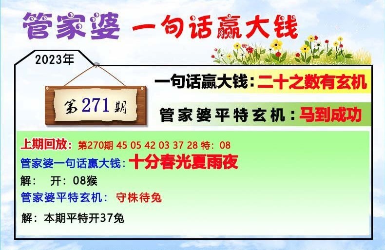 202管家婆一肖一吗,实时解答解释定义_Q58.563